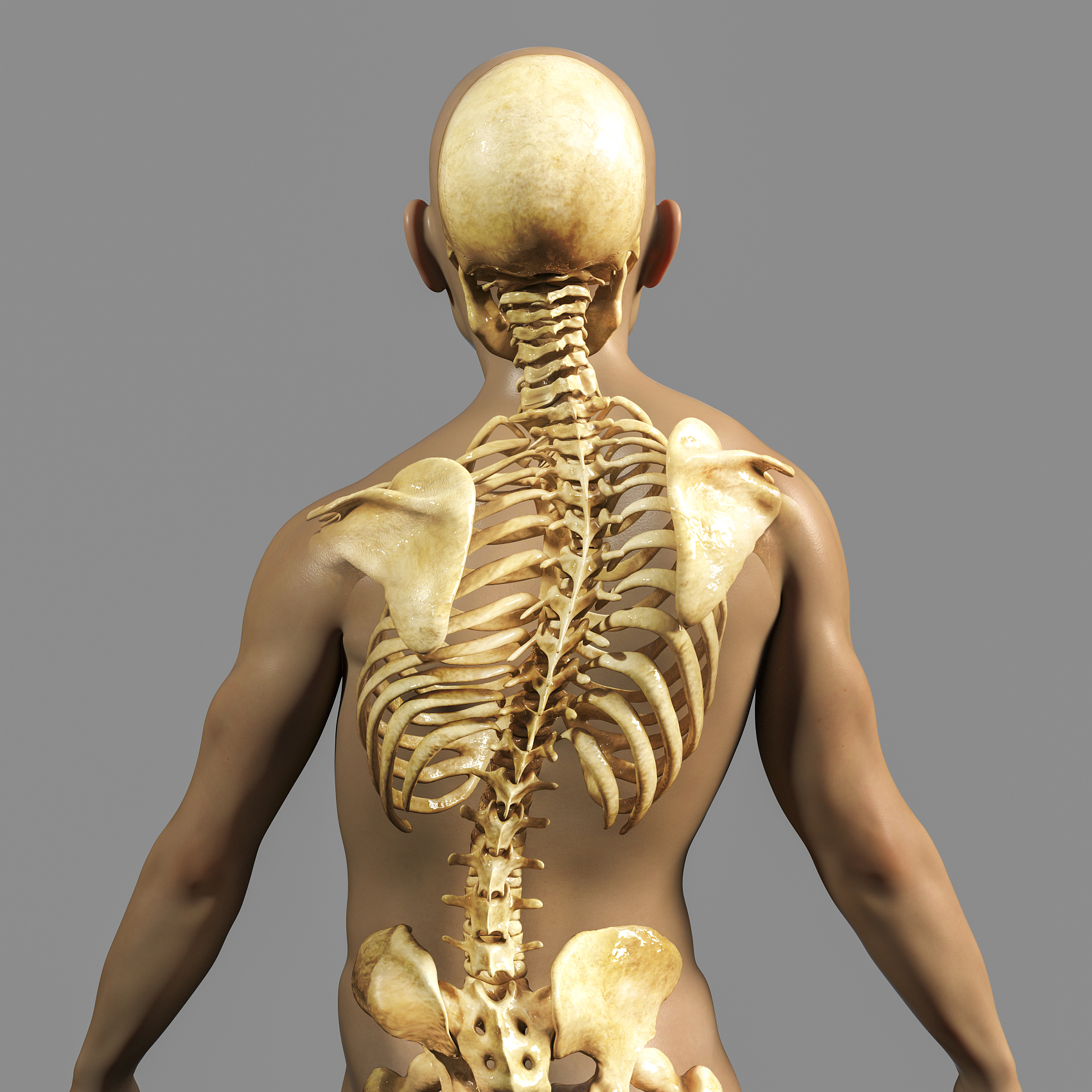 脊柱侧弯的危害